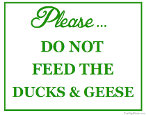 Please Do Not Feed the Ducks and Geese Sign