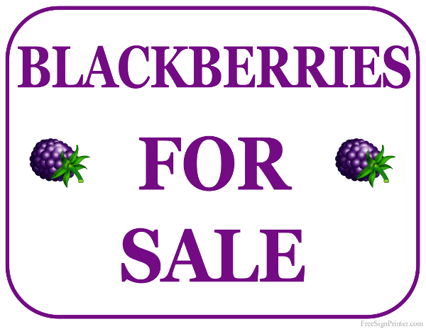 Printable Blackberries For Sale Sign