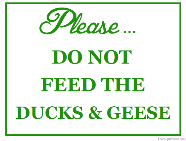 Printable Do not Feed the Ducks and Geese Sign