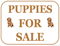 Puppies For Sale Sign